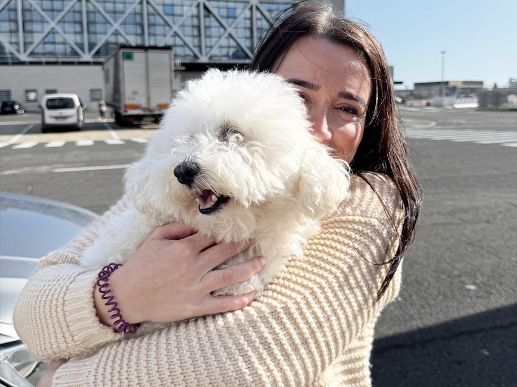 Trasporto cani Regno Unito e Irlanda